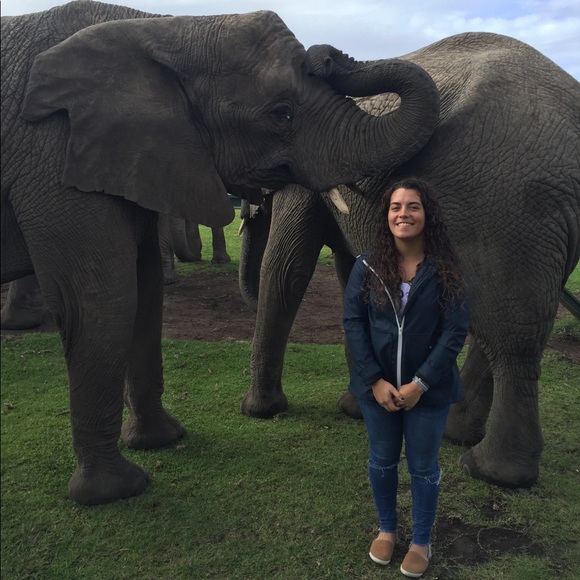 Zara jacket - Picture 2 of 4